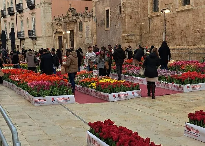 Hébergement de vacances Ortigia Adriana Syracuse